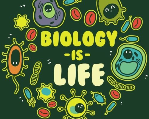 96423a3254ae839eec5f9f93dbe2f929